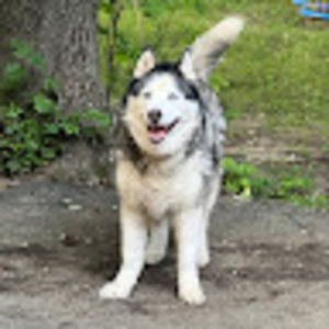 Meet your Posher, Zachary